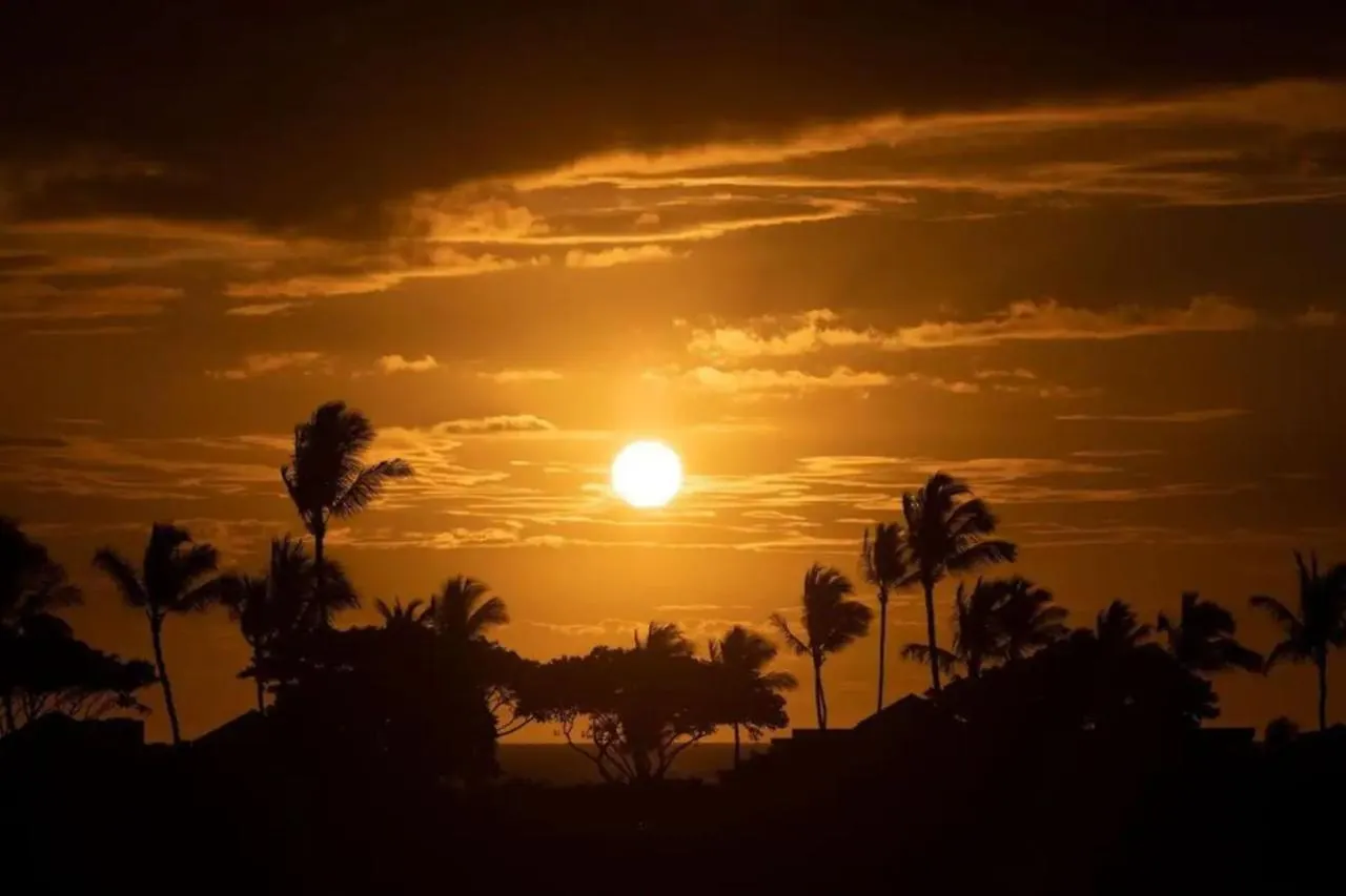 Stunning Ocean View Villa With Concierge Services Waikoloa 0*,  United States
